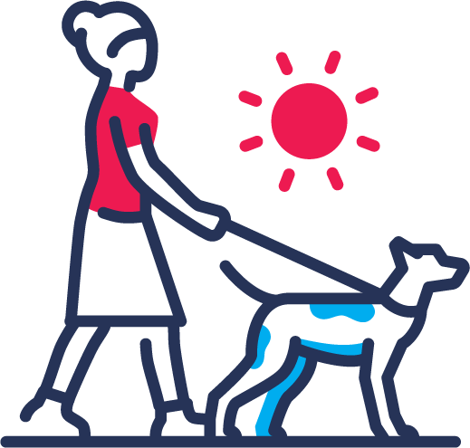 Needy Paws Animal Shelter | Fur-ever Friends For Your Family Needy Paws Animal Shelter | Fur-ever Friends For Your Family