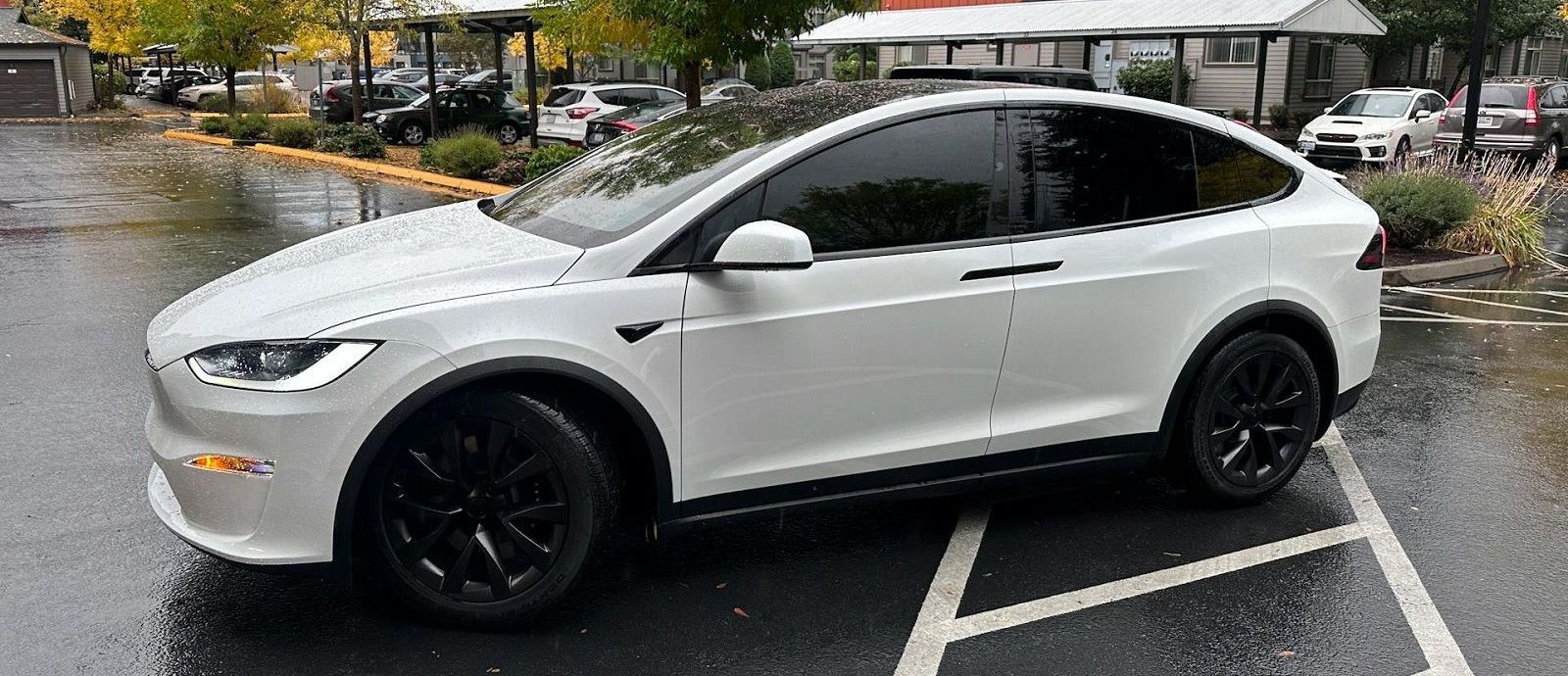 Tesla window tint