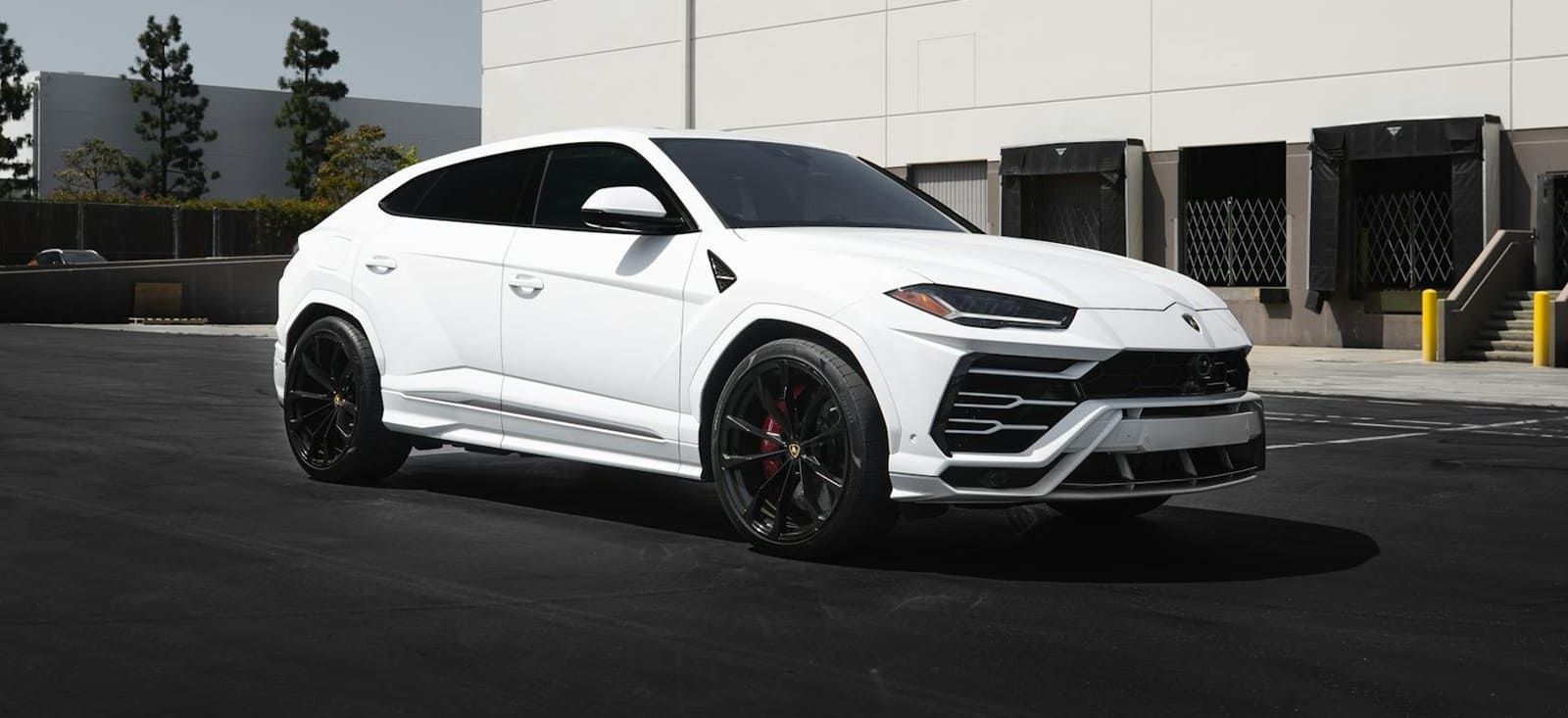 how to choose a tinting service