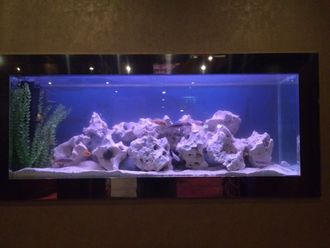 Aquarium