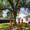 Tree service workers in orange gear pruning a large oak in a suburban yard