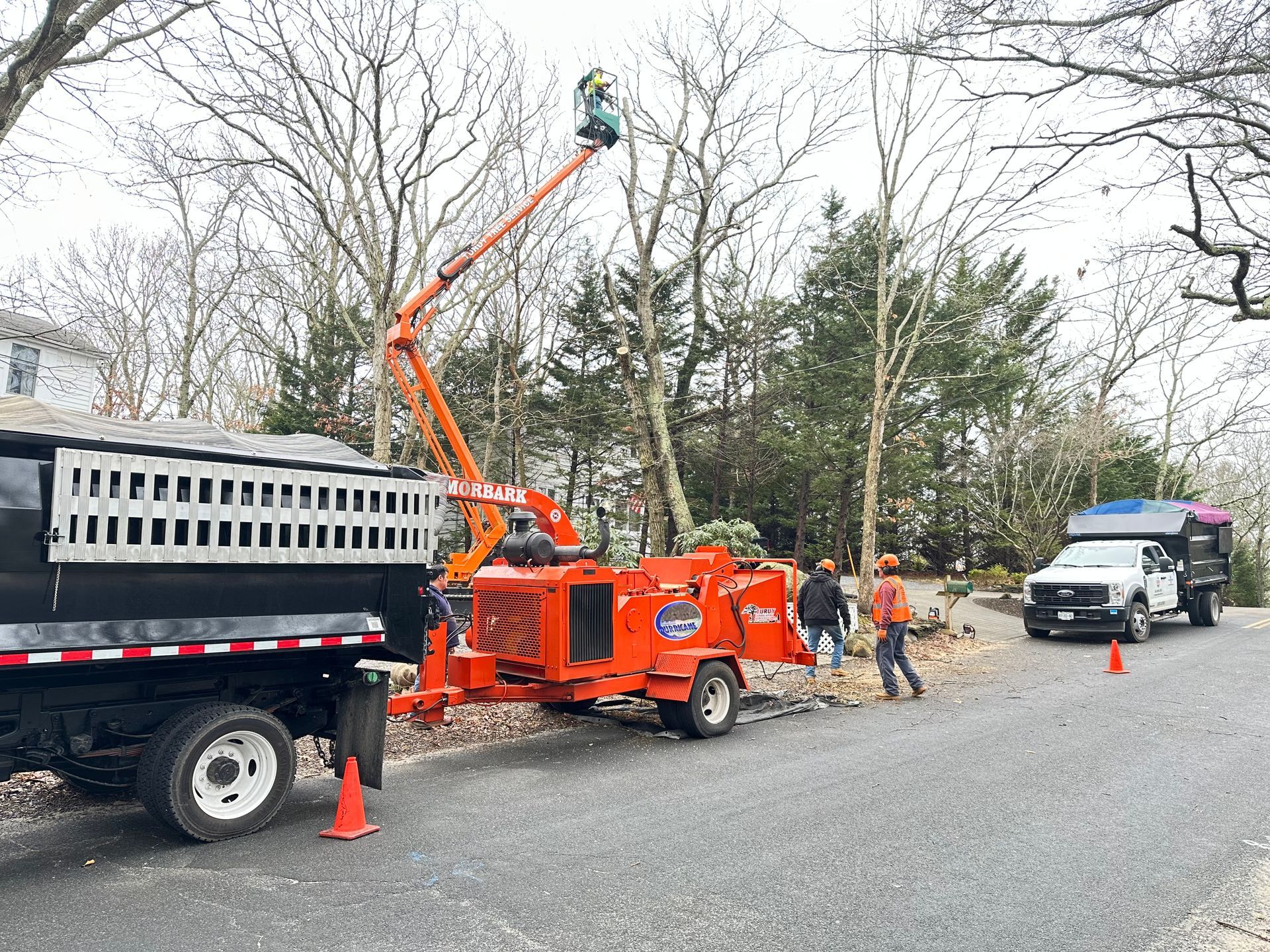 Tree Removal in East Hampton, NY