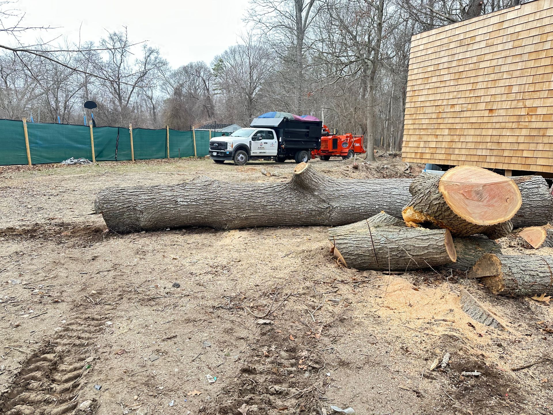 Tree Services in East Hampton, NY
