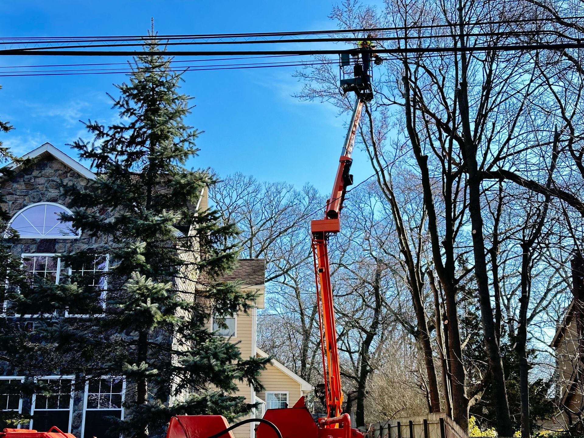 Tree Trimming in East Hampton, NY﻿
