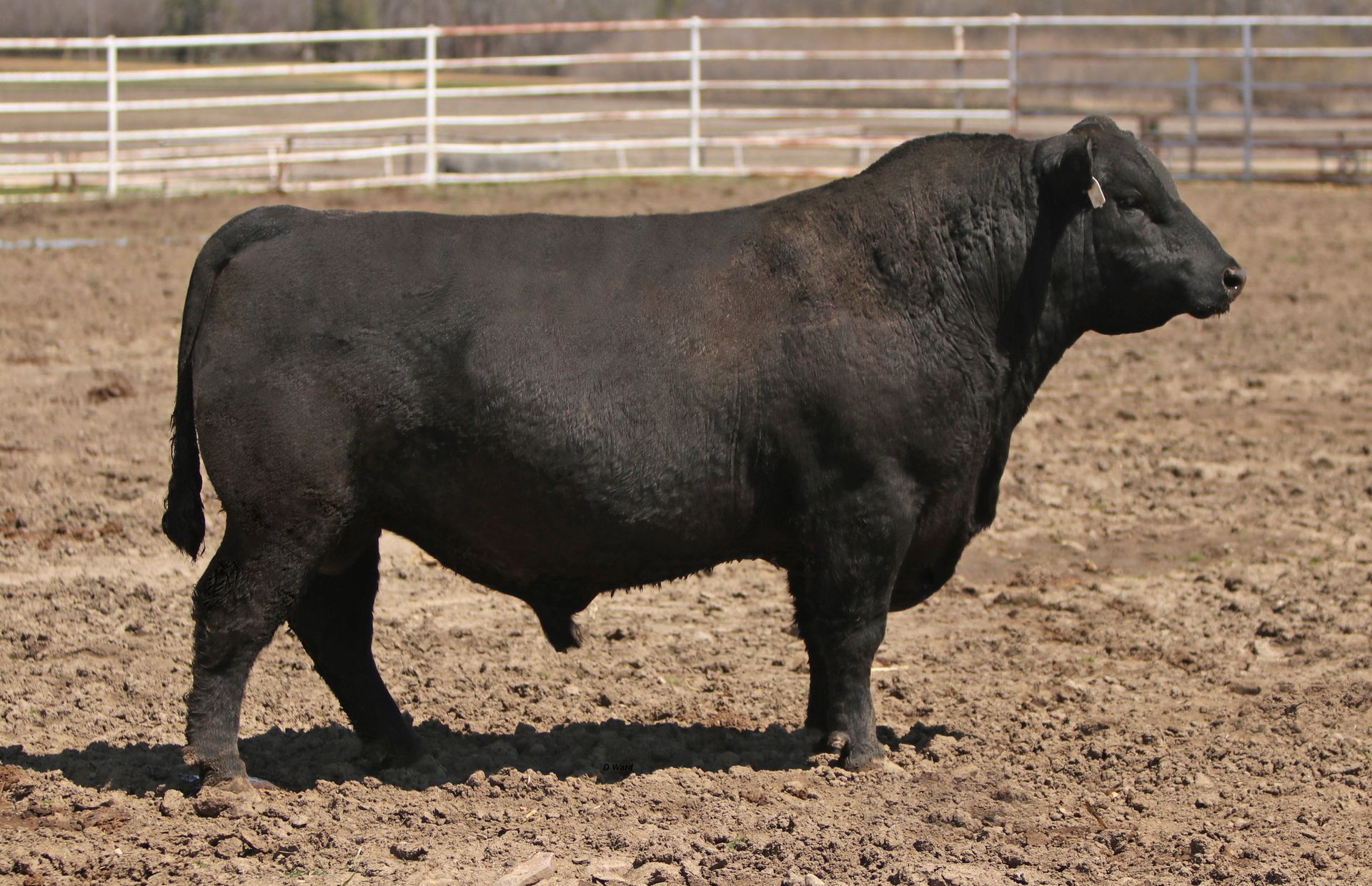 Azteca Ranch 038