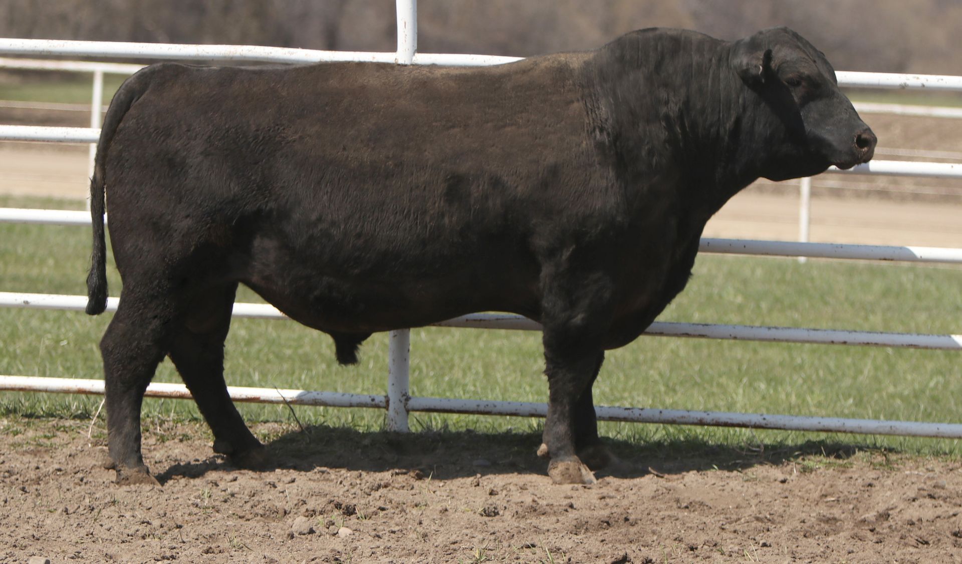 Azteca Ranch 041