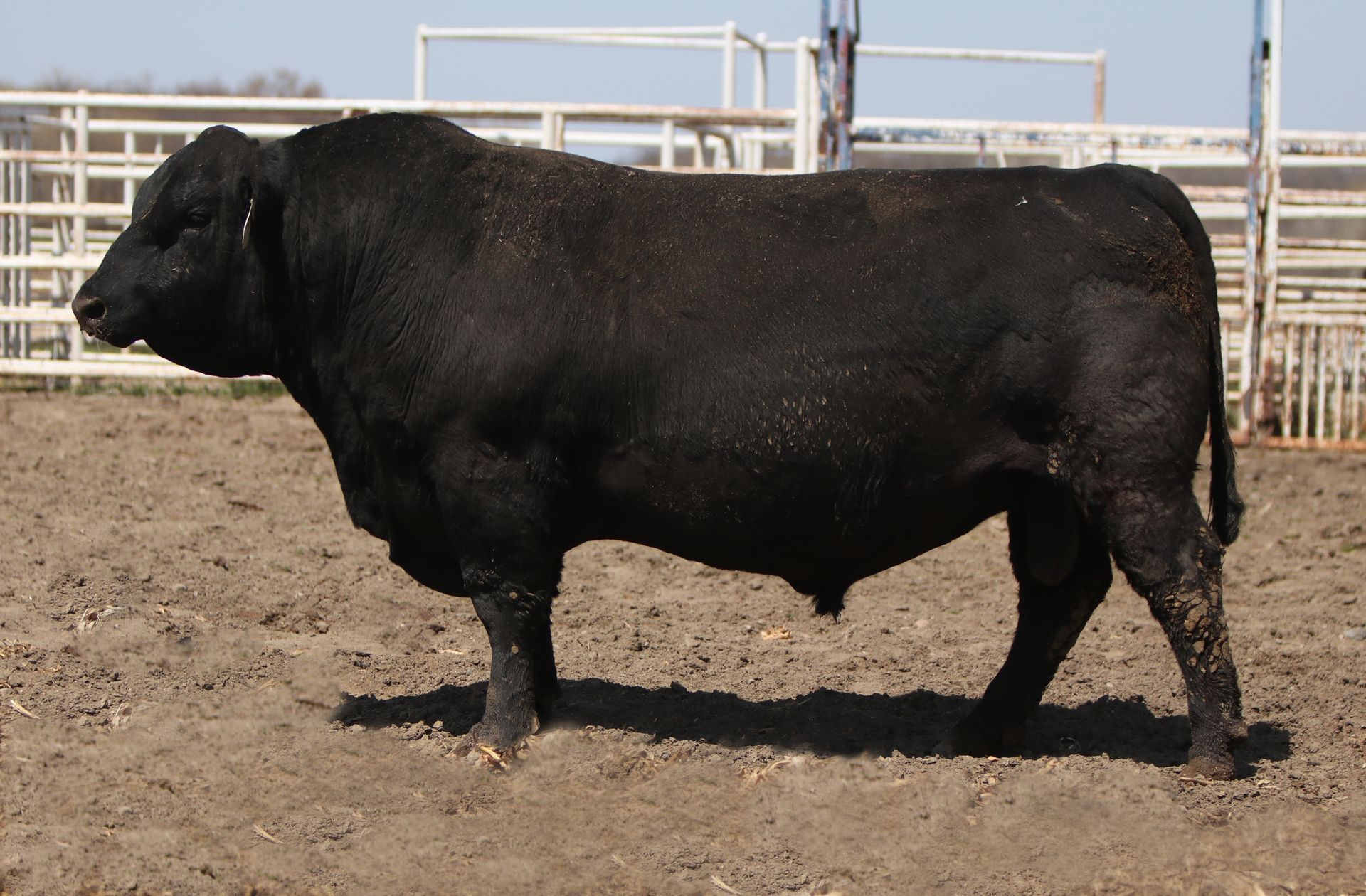 Azteca Ranch 044