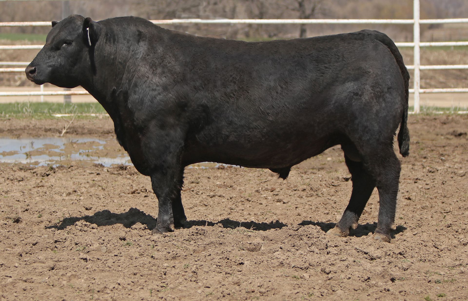 Azteca Ranch 051
