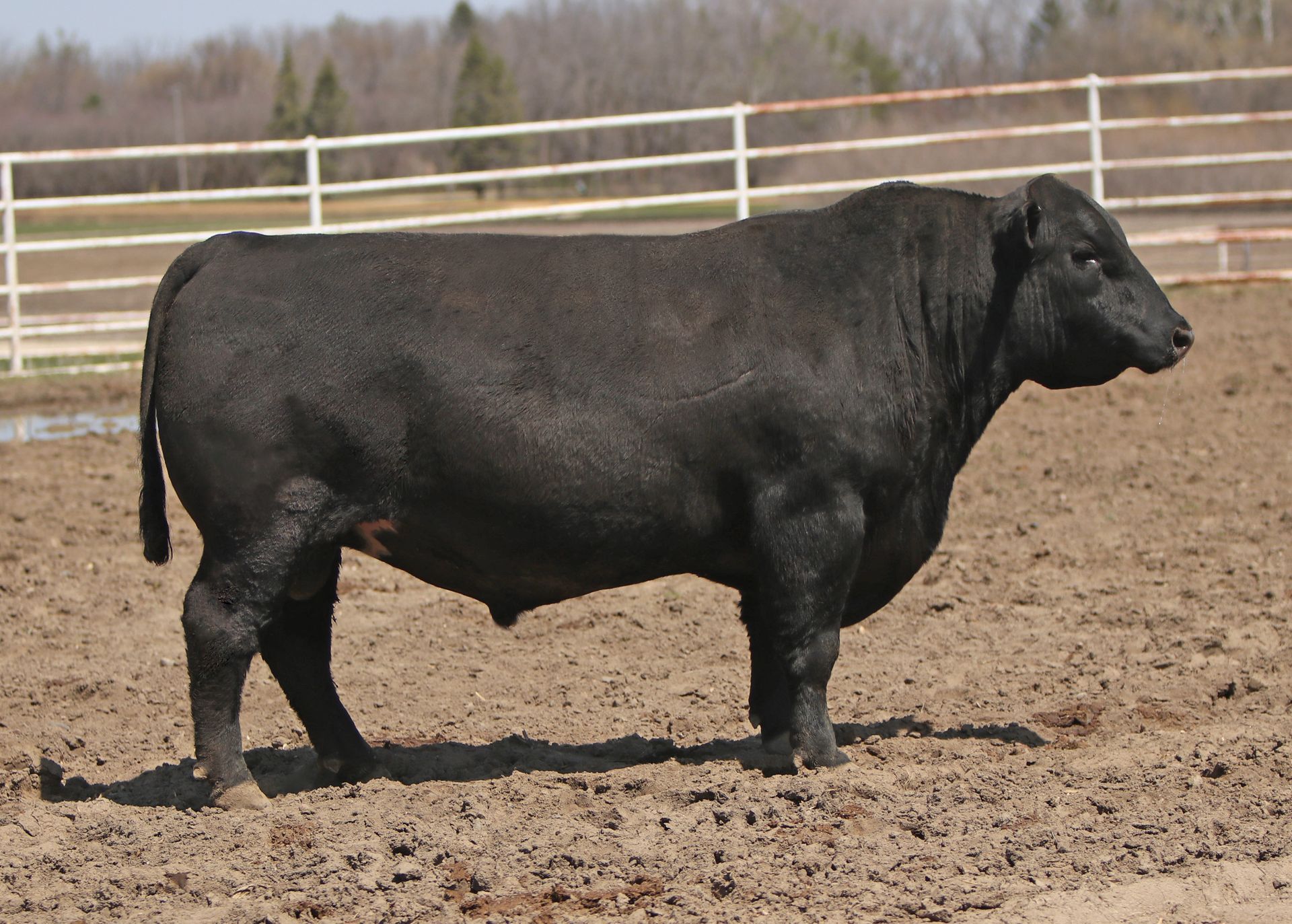 Azteca Ranch 052