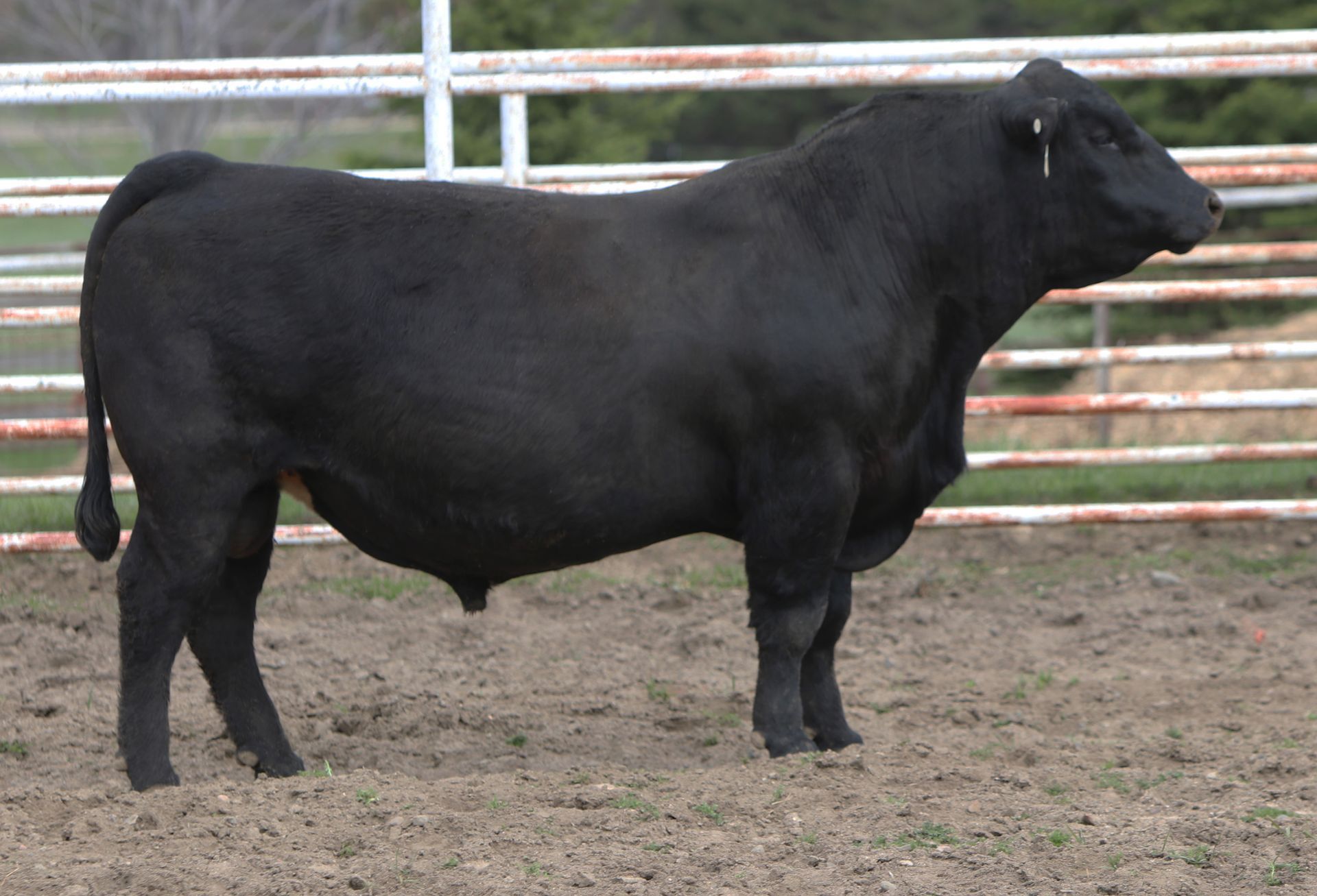Azteca Ranch 206