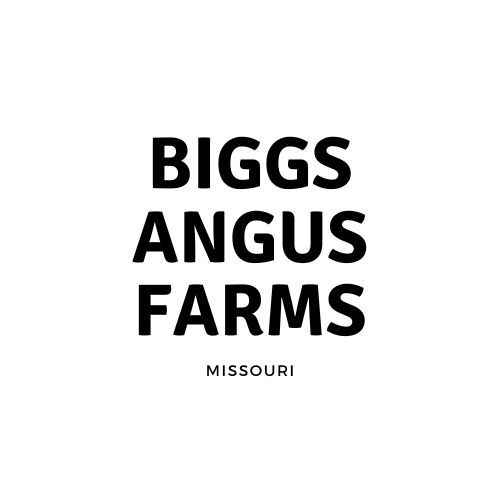 Biggs Angus Farms