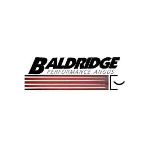 Baldridge Performance Angus