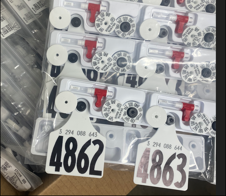 Bag of Tags