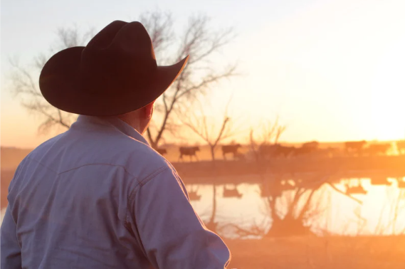 Rancher