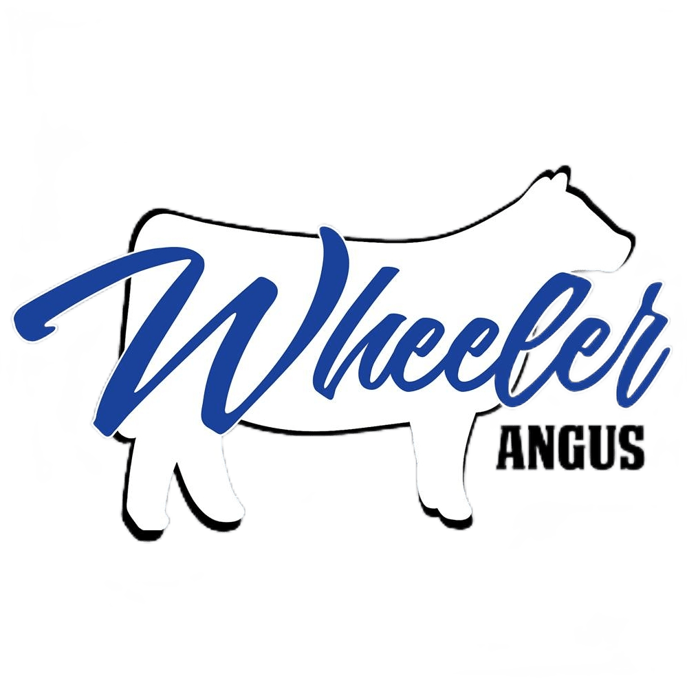 Wheeler Angus