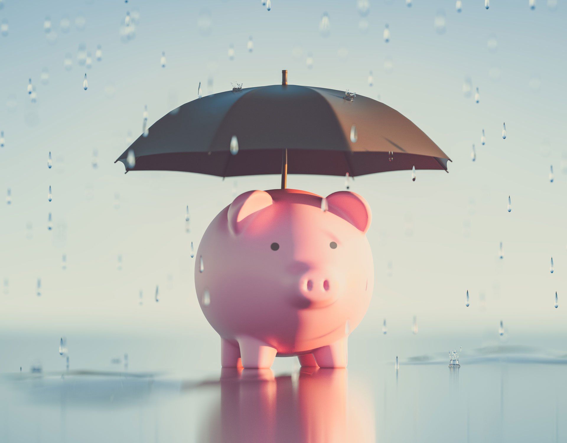 Pig and Umbrella Concept — Canton, MI — Tucker Insurance Agency