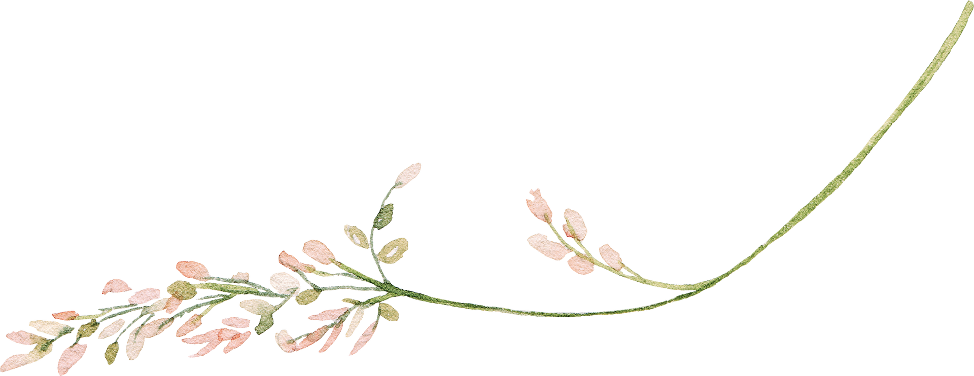 A branch with pink flowers and green leaves on a white background.