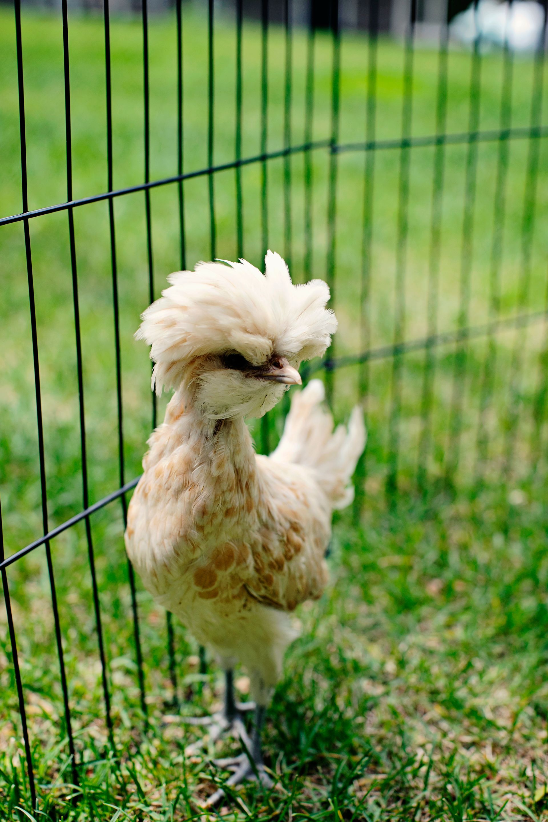 Fine art portrait photography
