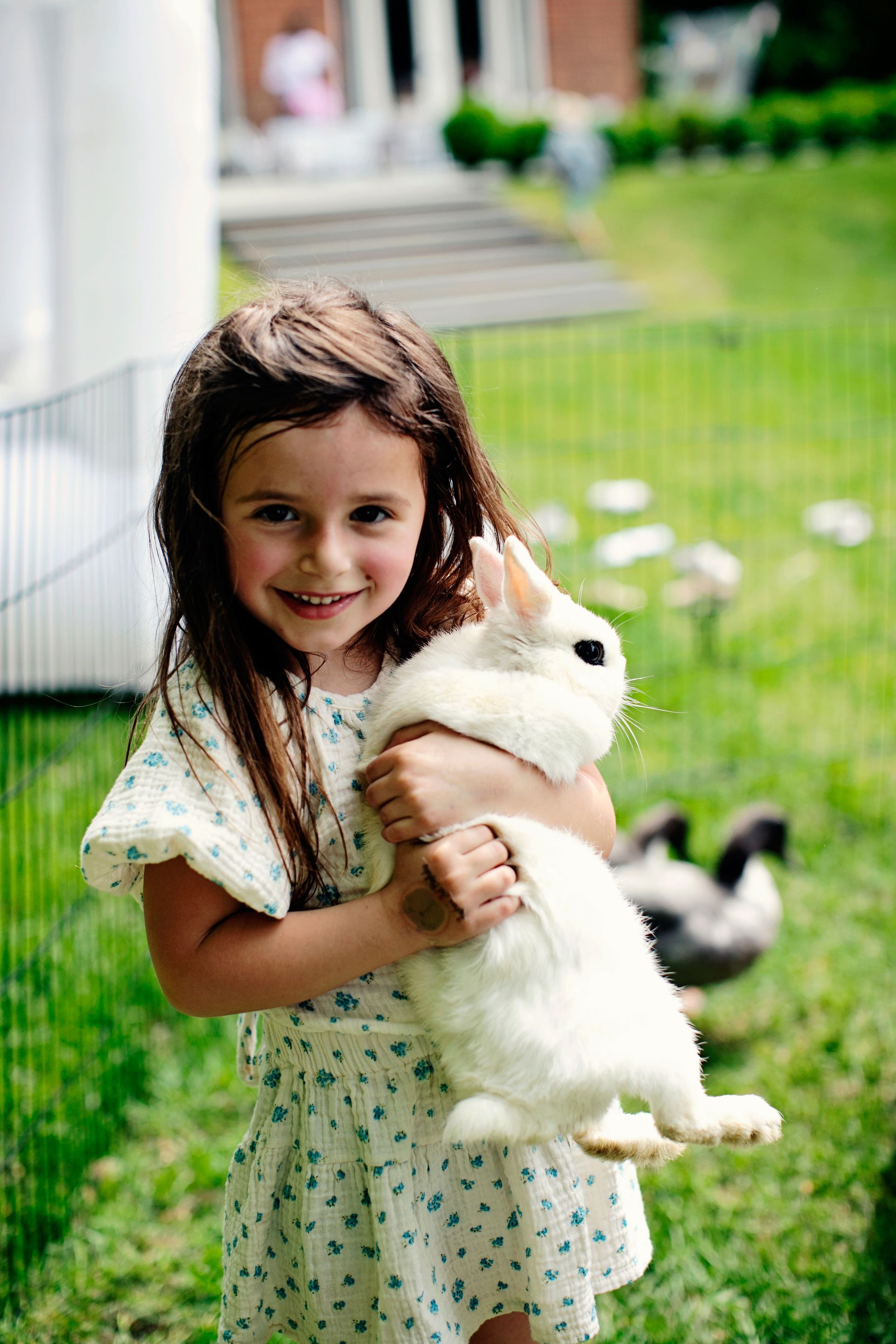 Animal Event portrait photography
