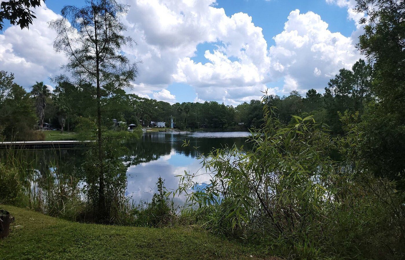 Calm lake reflecting a blue sky with fluffy clouds, surrounded by trees and green vegetation.