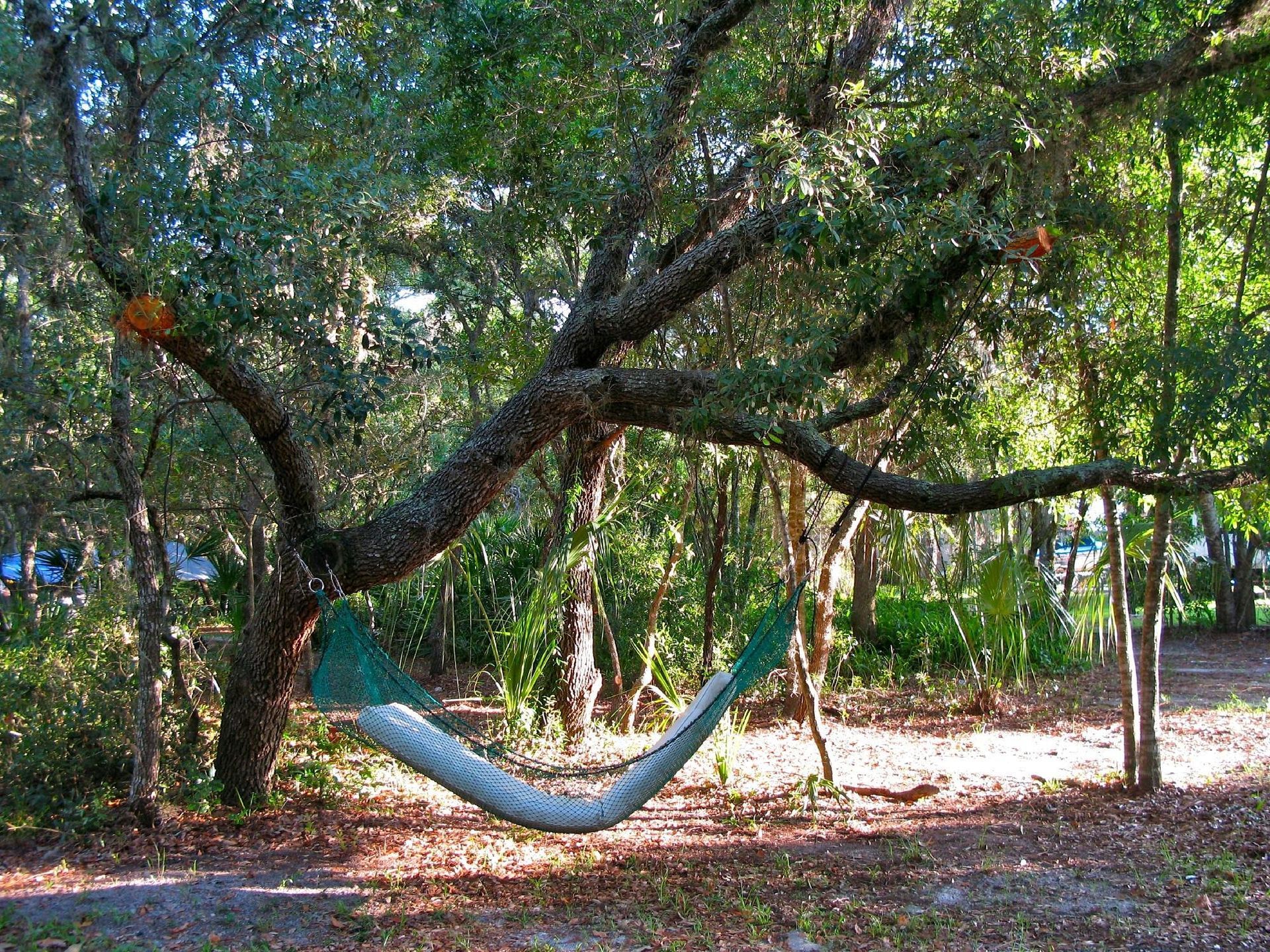 A green and grey hammock hanging from a tree branch in a sunny park setting.