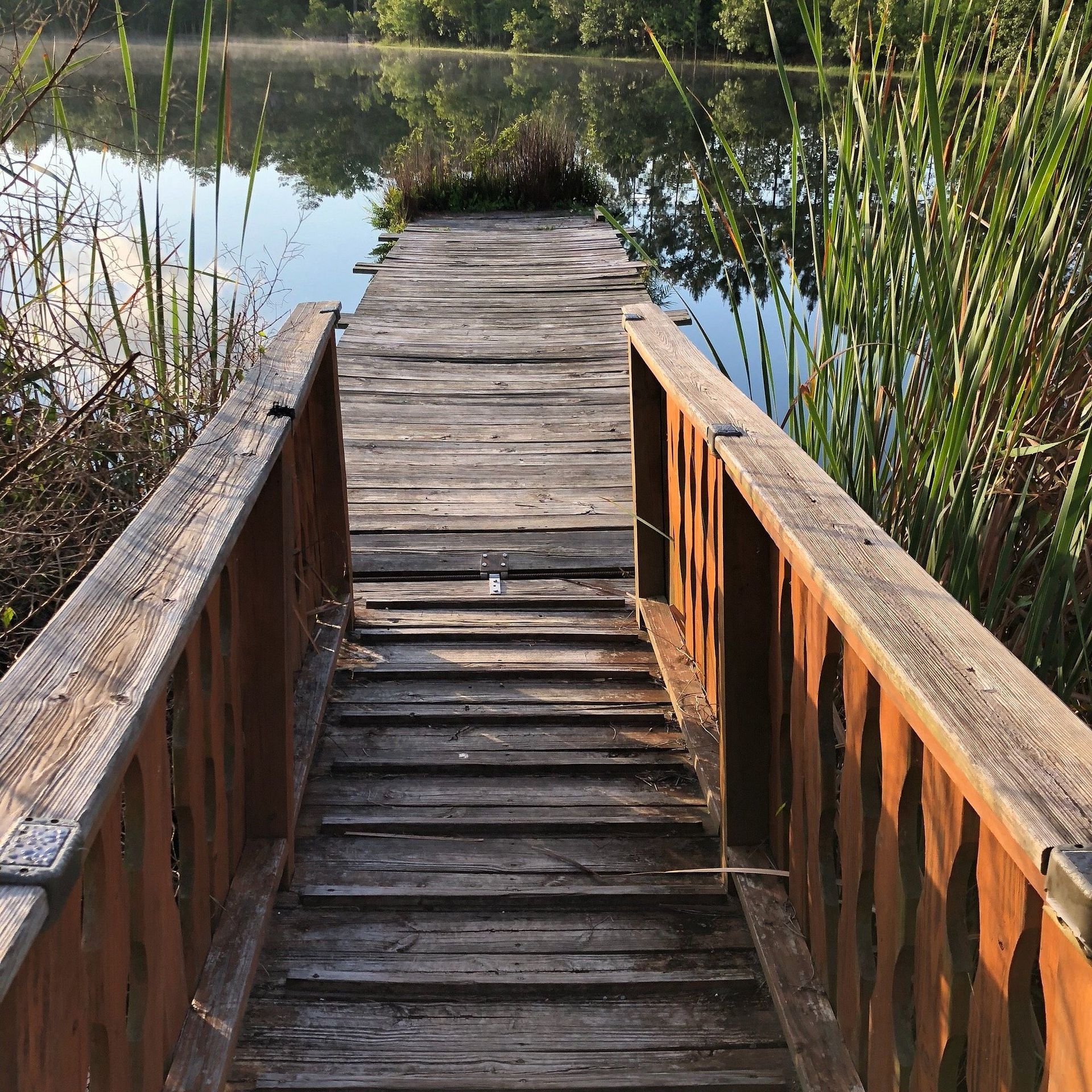 Wooden dock extending over calm water, surrounded by reeds and trees.