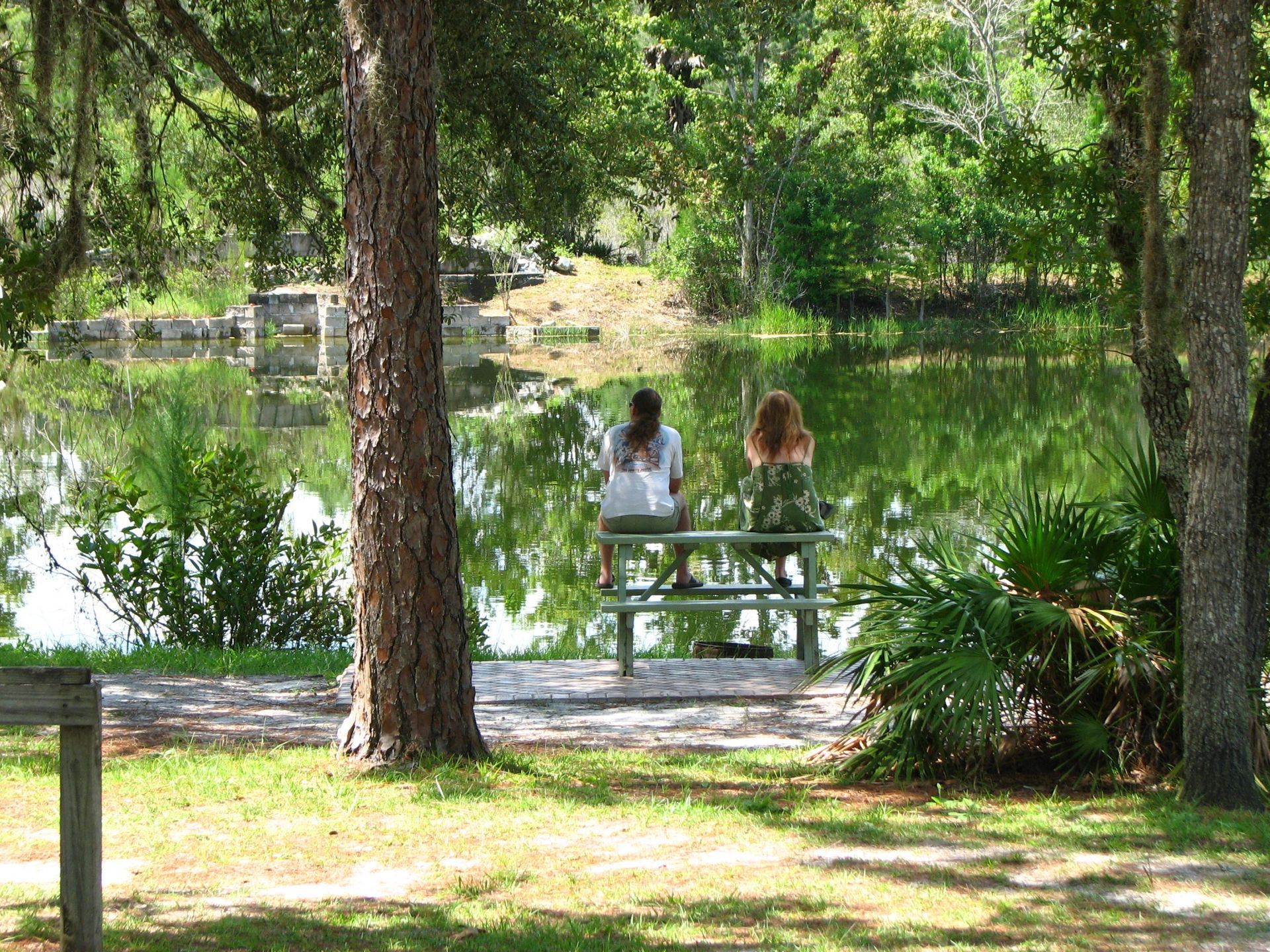 Two people sit on a bench by a lake, surrounded by trees and greenery.