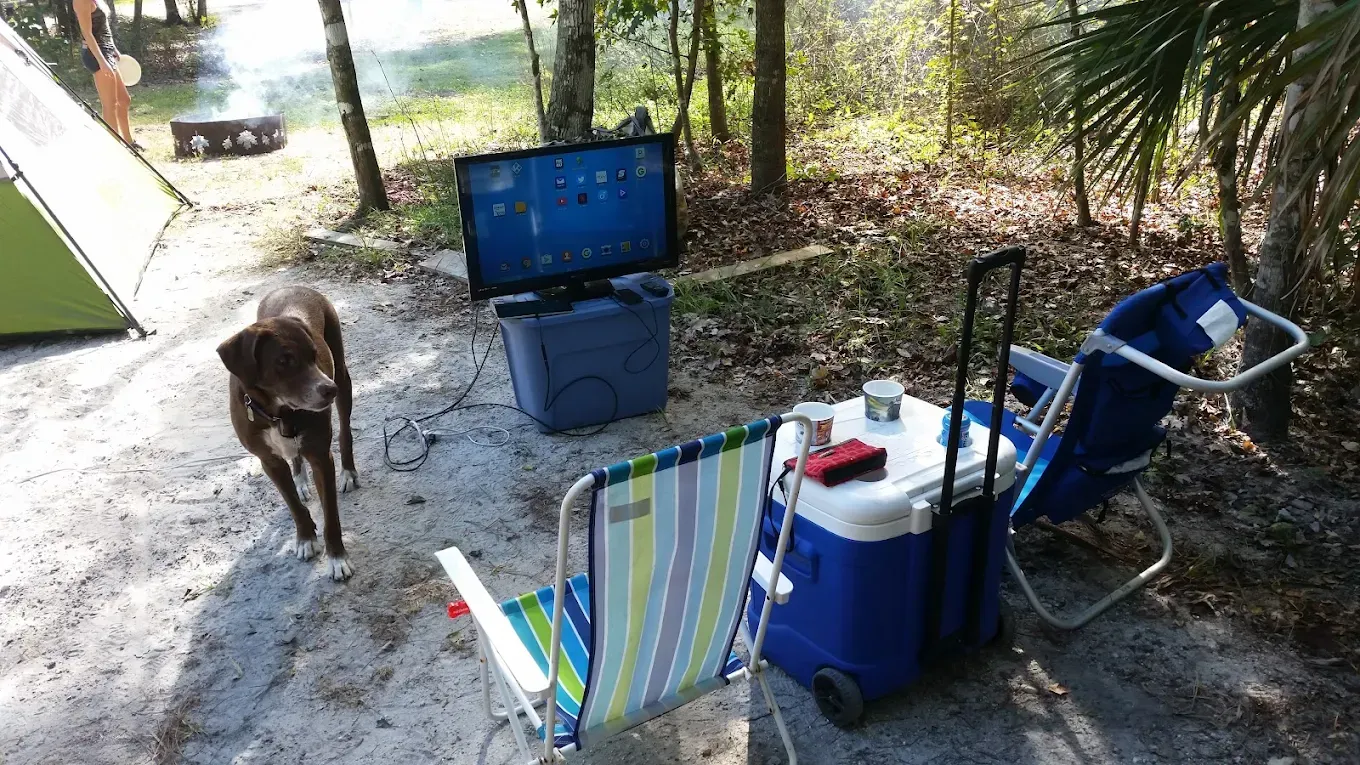 Dog walks toward a campsite with a TV, cooler, and folding chairs near a lake.