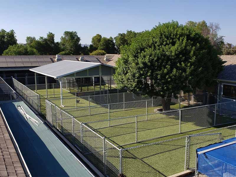 Fenced grassy yard beside a pool, with a covered patio and large tree under clear blue sky