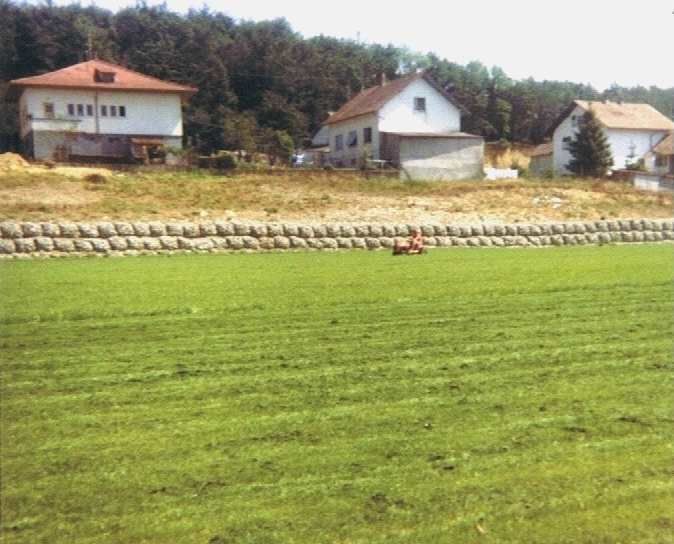 Un grand champ herbeux avec des maisons en arrière-plan
