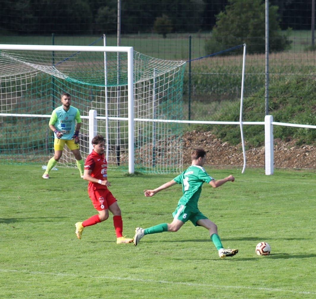 Un groupe de joueurs de football jouent à un jeu sur un terrain.