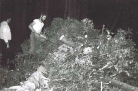 Une photo en noir et blanc d'un homme coupant un arbre avec une tronçonneuse.