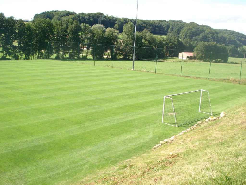Un terrain de football avec un but au milieu