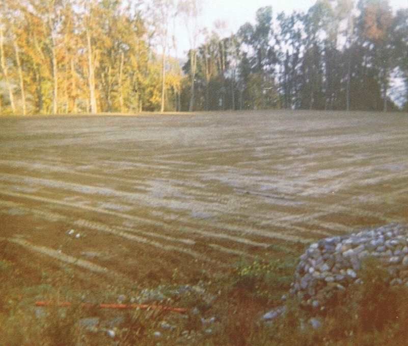 Un grand champ vide avec des arbres en arrière-plan.