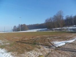 Un champ enneigé avec des arbres en arrière-plan par une journée ensoleillée.