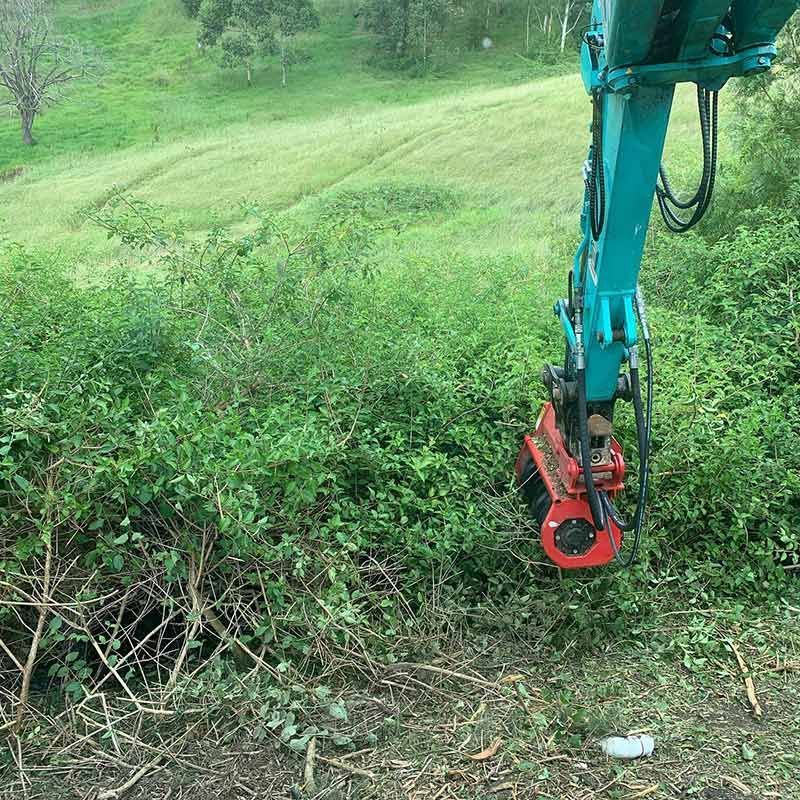 A Blue Excavator Is Cutting A Bush In A Field — Atholyn Earthmovers in Cessnock, NSW