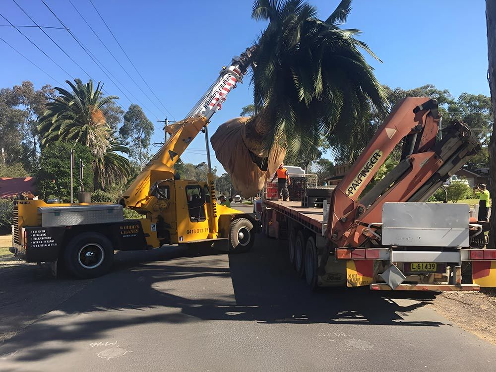 A Truck With A Crane On The Back Of It Loads The Big Trees To Flatbed Truck — Atholyn Earthmovers in Gosford, NSW