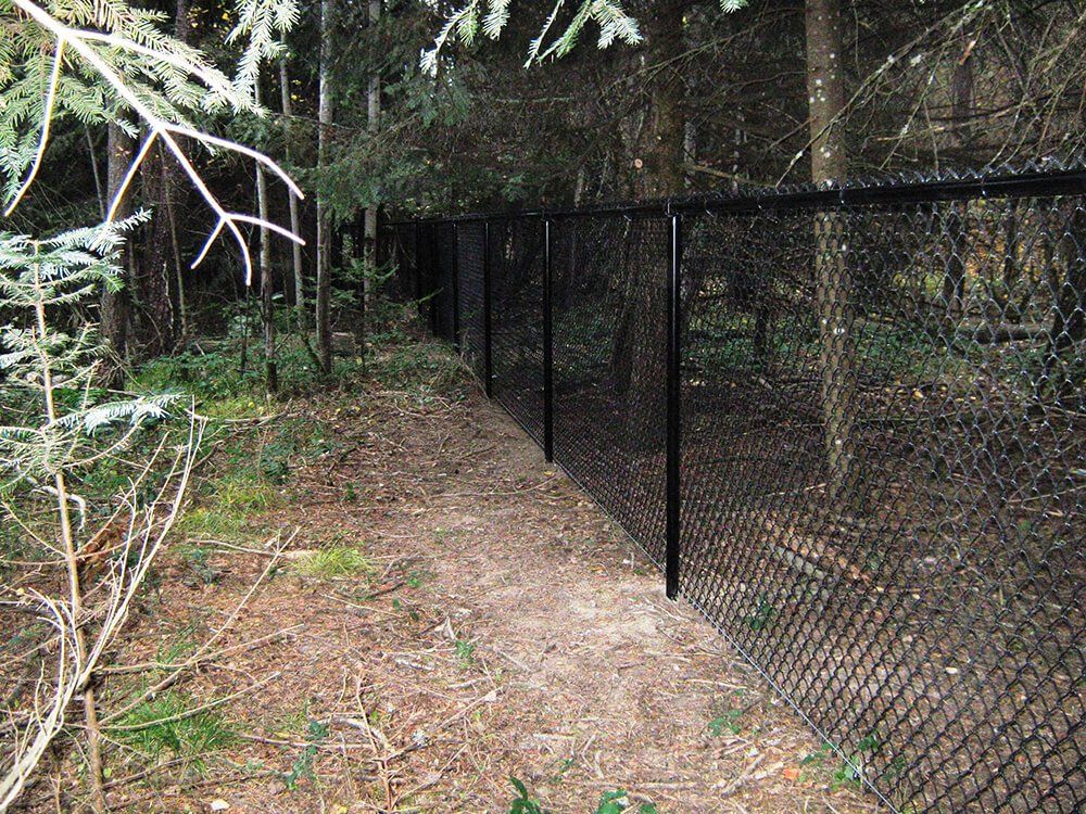 Black Chain Link — Hayden, ID — American Fence Company