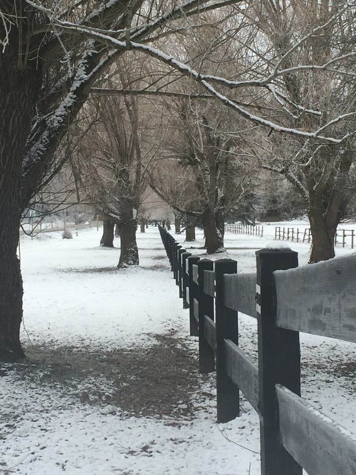 Old Wooden Fence — Hayden, ID — American Fence Company