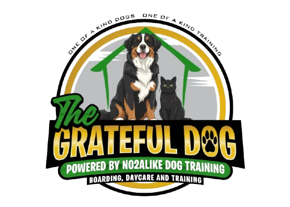 Logo: Dog and cat, green and gold frame, text "The Grateful Dog" with "Boarding, Daycare, and Training".