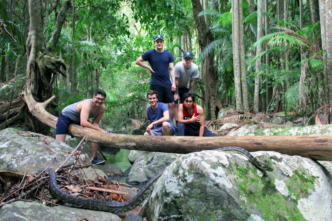 Thunderbird Park Mt Tamborine Adventure Park Gold Coast