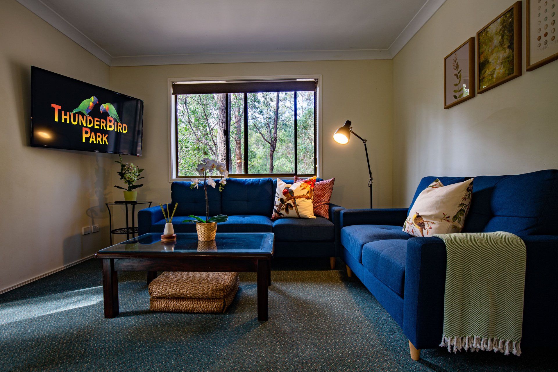 Thunderbird Park Camping & Tamborine Mountain, QLD