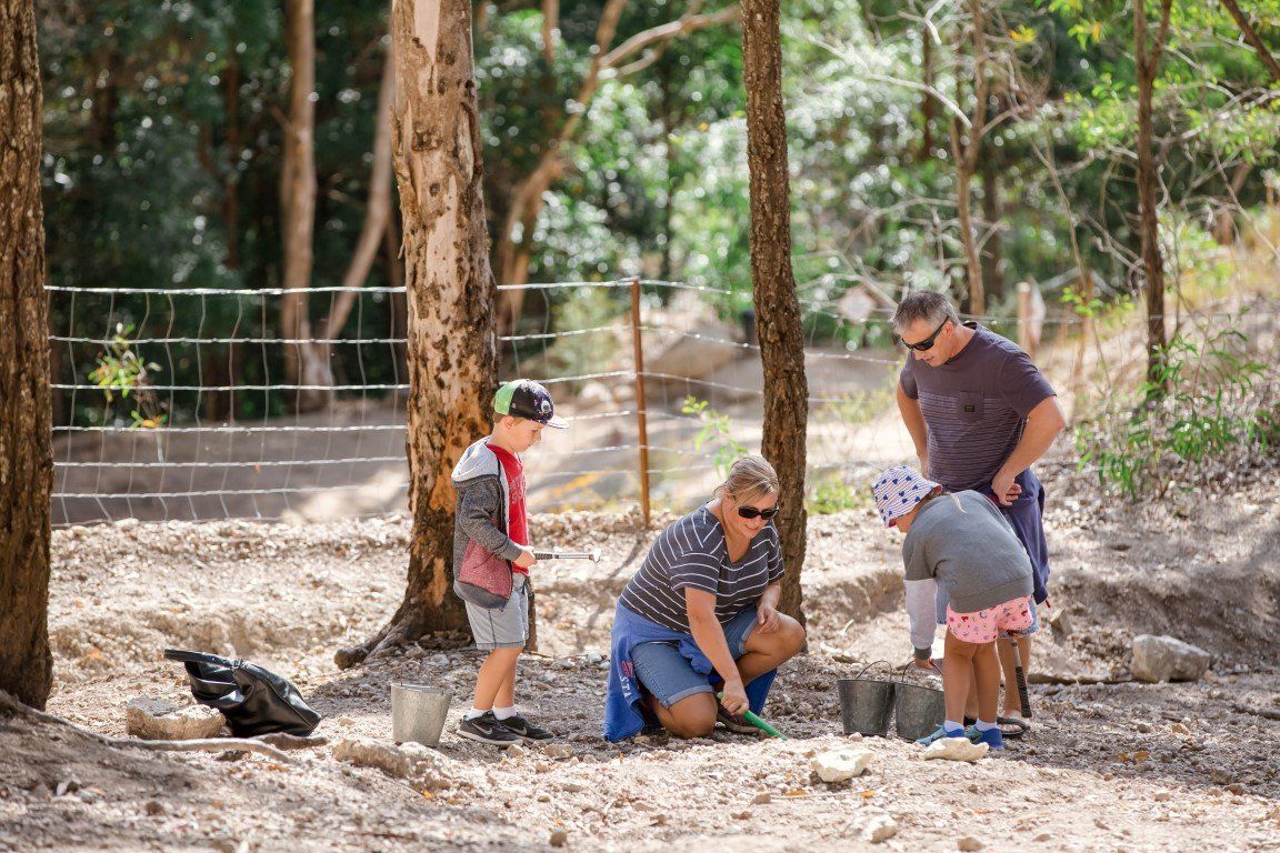 Thunderbird Park Thunderegg Fossicking Tamborine Mountain, QLD
