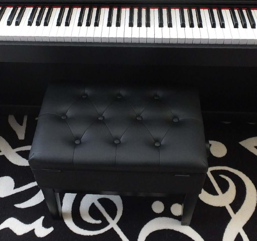 Digital piano with piano stool on music note carpet