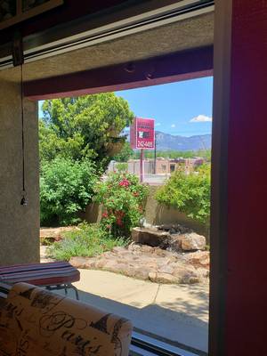 Olaplex — Little Garden in Salon in Albuquerque, NM