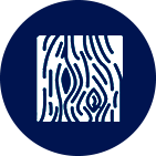 A group of people are standing next to each other in a blue circle.