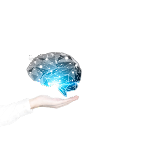 A hand is holding a blue brain on a white background.