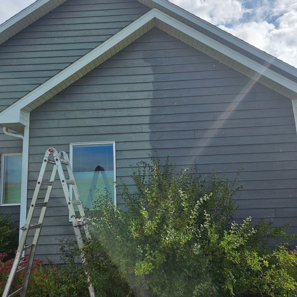 Ladder beside a house with gray siding and a window, with bushes in front and sunlight glare across the roof.