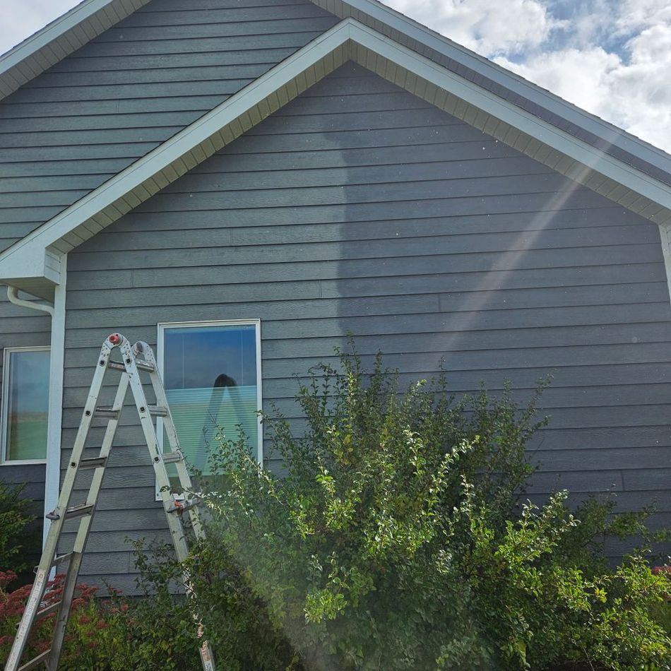 Ladder beside a house with gray siding and a window, with bushes in front and sunlight glare across the roof.