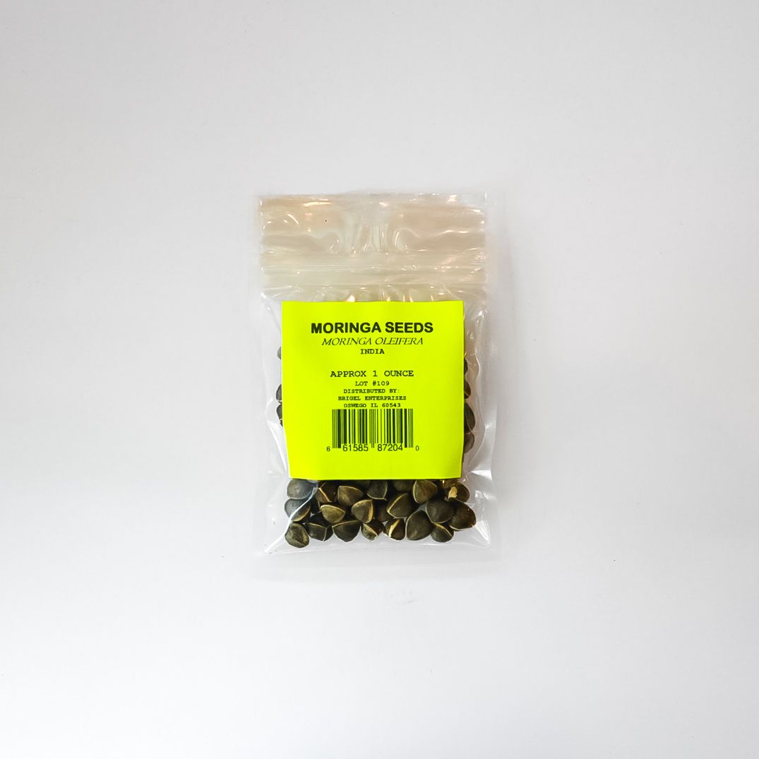 MORINGA SEEDS